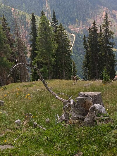 Wanderung der Naturfreunde - Astental und Mohar