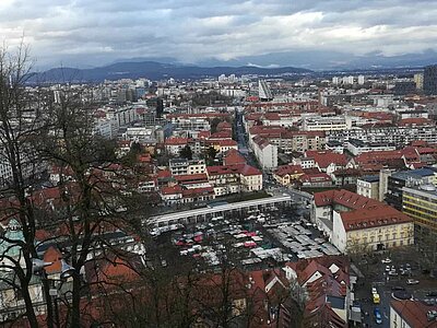 Naturfreunde-Ausflug zum Christkindlmarkt Laibach