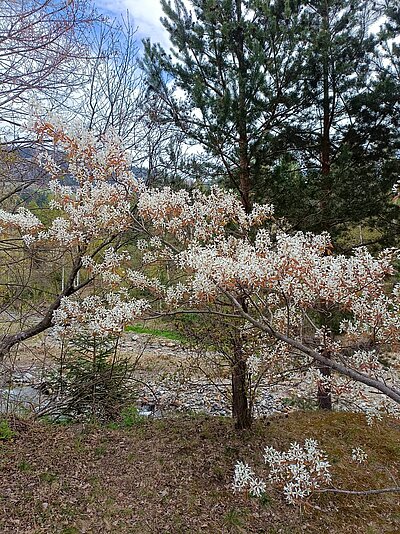 4. Seniorenwanderung der Naturfreunde - Römersteig