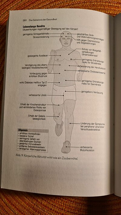 Niko Niko Slow Jogging der Naturfreunde