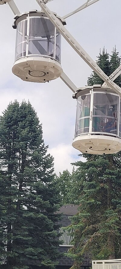 Busausflug der Naturfreunde - Wörthersee