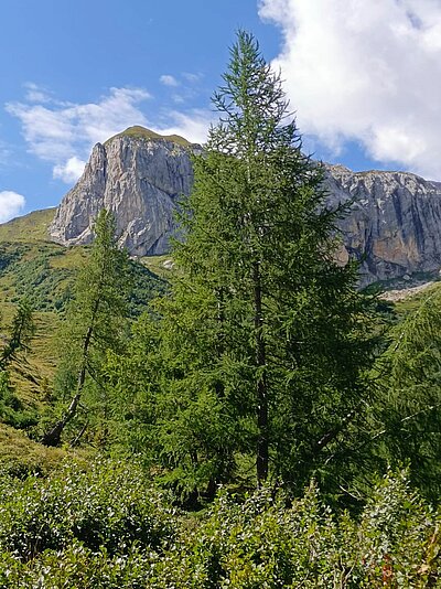 16. Seniorenwanderung der Naturfreunde - Hochweißsteinhaus