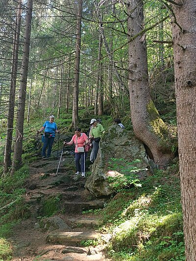 Wanderung der Naturfreunde - Iseltrail 1 (Pfister bis Glanzer Brücke)
