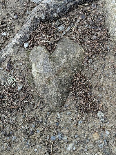 Wanderung der Naturfreunde - Kreuzeckbahn mit Klinghütte - Mühldorfer Alm