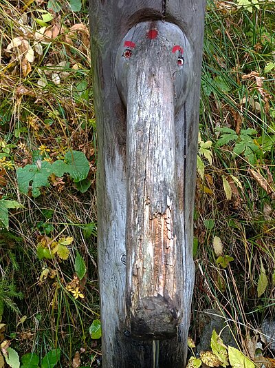 Wanderung der Naturfreunde - Peterskirchl Toblach/Aufkirchen
