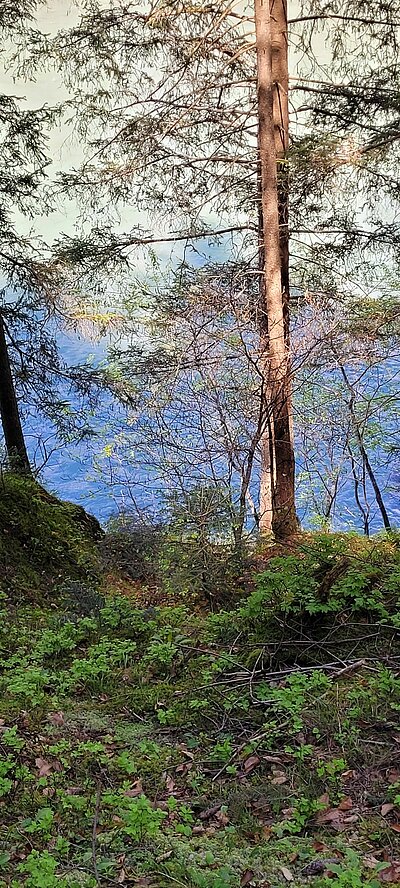 Wanderung der Naturfreunde - Iseltrail 1 (Pfister bis Glanzer Brücke)