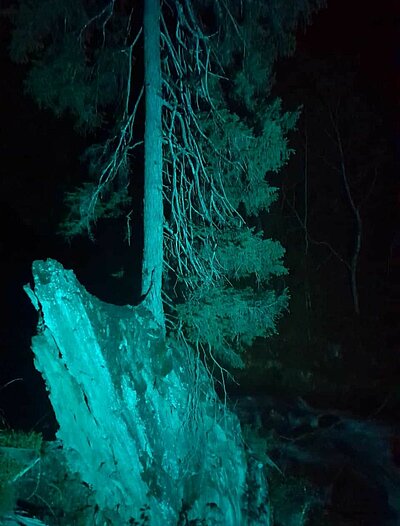 16. Seniorenwanderung der Naturfreunde 2022 - Groppensteinschlucht Obervellach bei Nacht