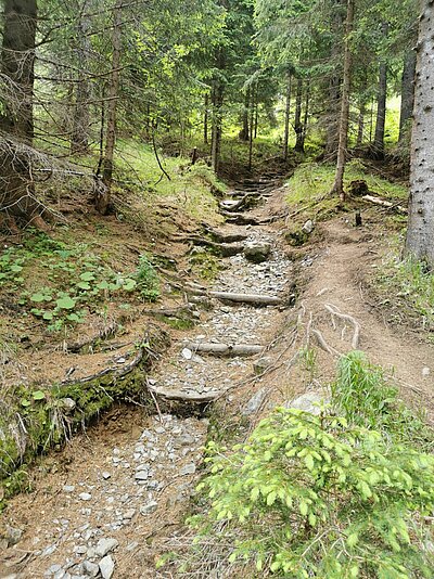 Wanderung der Naturfreunde - Ederplan mit Heldenkreuz und Anna Schutzhaus