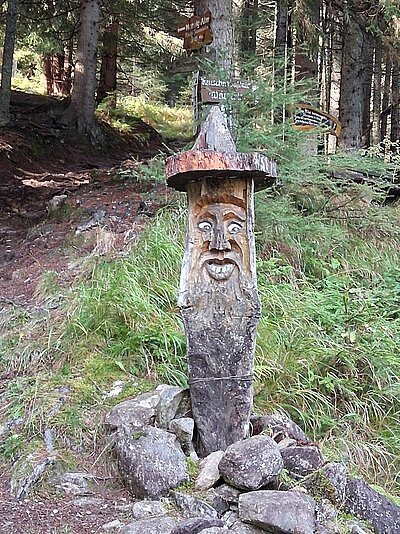 Wanderung der Naturfreunde - Kreuzeckbahn mit Klinghütte - Mühldorfer Alm