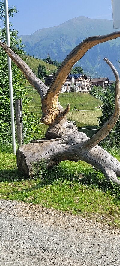 Wanderung der Naturfreunde - Morendenweg, Märchenwald und Wasserfall