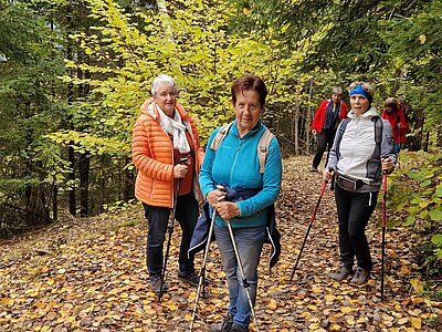 Naturfreunde - Wanderung Schöne Aussicht