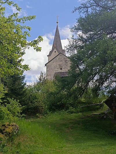 Wanderung der Naturfreunde - Danielsberg