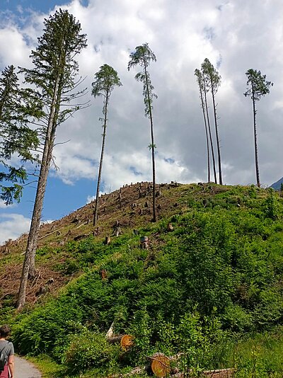 8. Seniorenwanderung der Naturfreunde - Iseltrail Teil 3