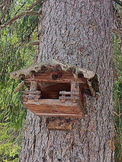Wanderung der Naturfreunde - Talschlusshütte im Fischleintal
