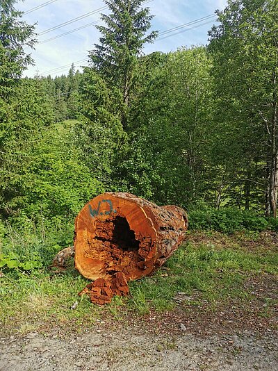 Wanderung der Naturfreunde - Ederplan mit Heldenkreuz und Anna Schutzhaus