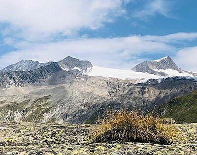 Wanderung der Naturfreunde - Johannishütte