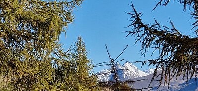 Wanderung der Naturfreunde - Winklerner Almsee