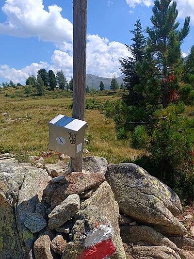 Randwanderung der Naturfreunde - HIRSCHBÜHEL-BLINDISALM-ALPE STALLE