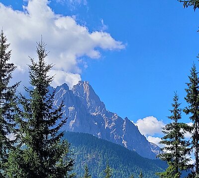 14. Seniorenwanderung der Naturfreunde 2022 - Jägerhütte Vierschach