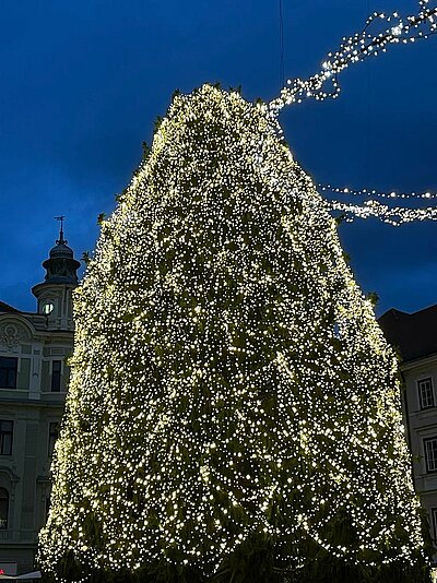 Naturfreunde-Ausflug zum Christkindlmarkt Laibach