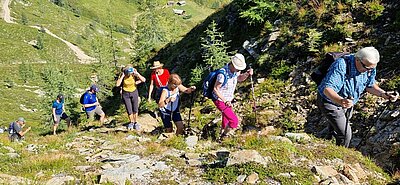 Wanderung der Naturfreunde - Stanitzkopf und/oder Obere Zraunighütte