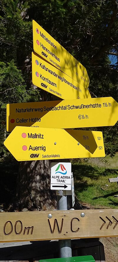 Sonntagswanderung der Naturfreunde - Stappitzersee und Schwussnerhütte