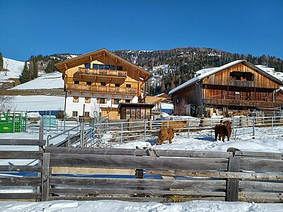 Schneeschuhwanderung der Naturfreunde in Obertilliach