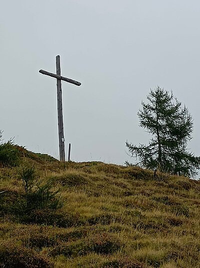 Wanderung der Naturfreunde - Leppner Alm