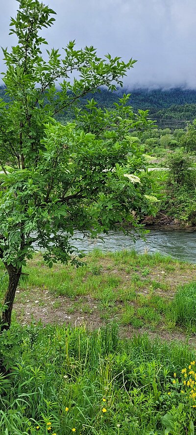 Wanderung der Naturfreunde - Aguntum-Golfhotel-Runde