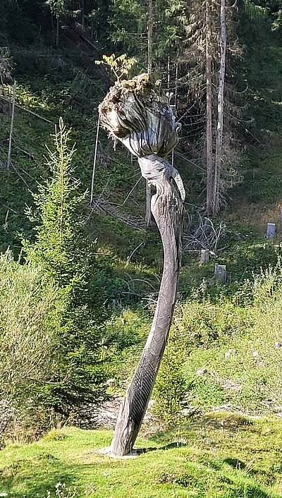 Wanderung der Naturfreunde - Wassererlebnisweg St. Jakob i.Def.