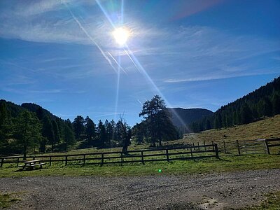 Wanderung der Naturfreunde - Egger Alm in Hermagor