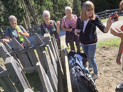 Wanderung der Naturfreunde - Silvesteralm