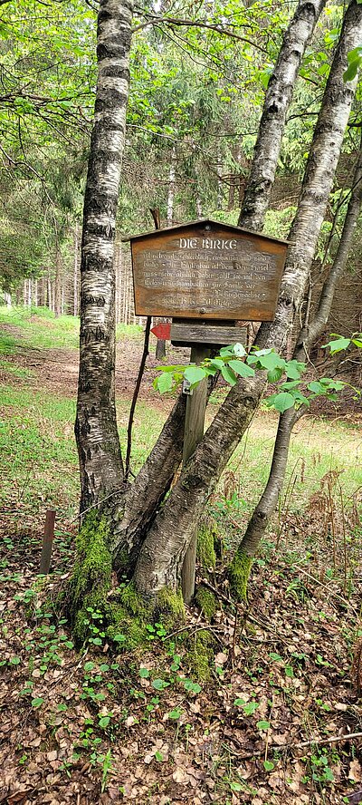 Wanderung der Naturfreunde - Danielsberg