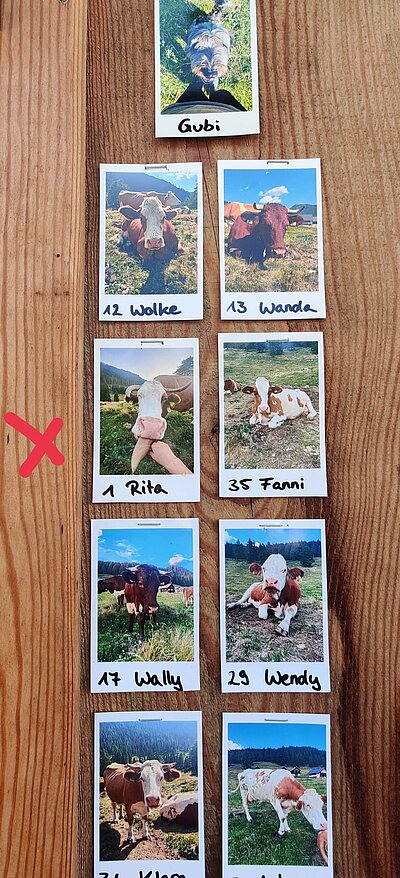 Wanderung der Naturfreunde - Egger Alm in Hermagor
