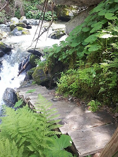 Wanderung der Naturfreunde - Morendenweg, Märchenwald und Wasserfall