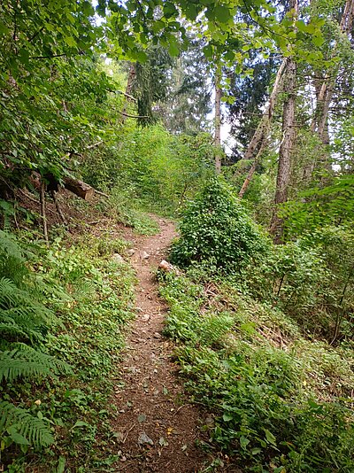 21. Seniorenwanderung der Naturfreunde - Zick-Zack-Steig