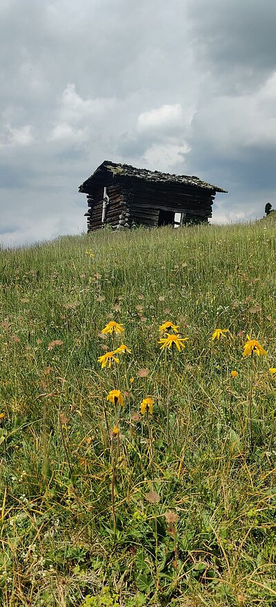 Wanderung der Naturfreunde - Astental und Mohar