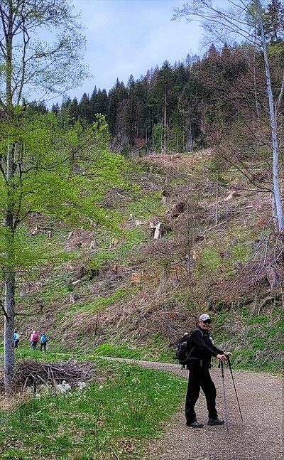 6. Seniorenwanderung der Naturfreunde - Reiter Kirchl