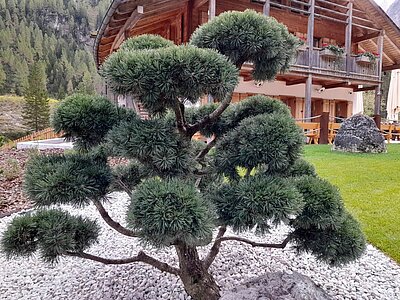 Wanderung der Naturfreunde - Talschlusshütte im Fischleintal
