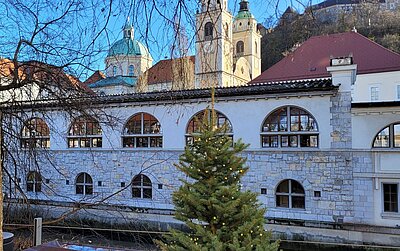 Naturfreunde-Ausflug zum Christkindlmarkt Laibach