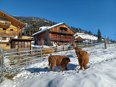 Schneeschuhwanderung der Naturfreunde in Obertilliach