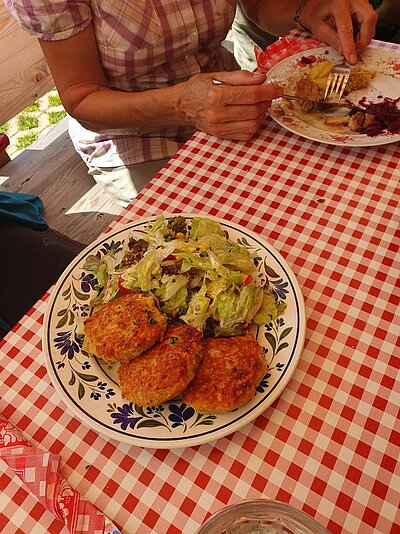 Wanderung der Naturfreunde - Stanitzkopf und/oder Obere Zraunighütte