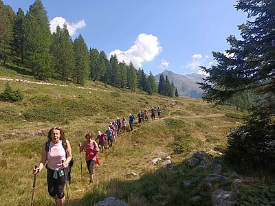 Randwanderung der Naturfreunde - HIRSCHBÜHEL-BLINDISALM-ALPE STALLE