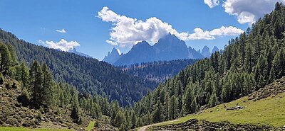 Wanderung der Naturfreunde - Silvesteralm