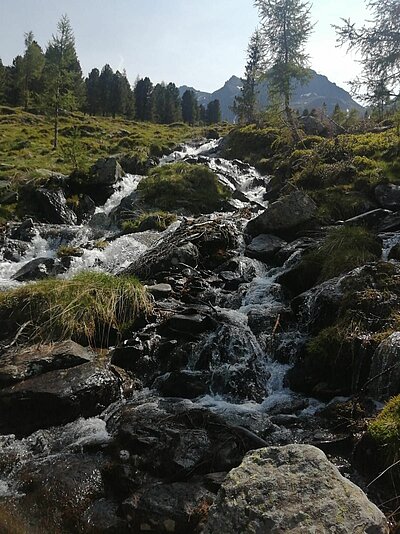 Sonntagswanderung der Naturfreunde - Hochschoberhütte