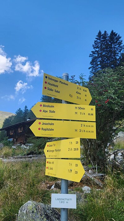Randwanderung der Naturfreunde - HIRSCHBÜHEL-BLINDISALM-ALPE STALLE