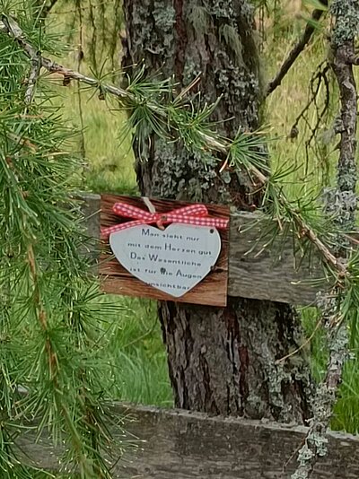 Wanderung der Naturfreunde - Leppner Alm