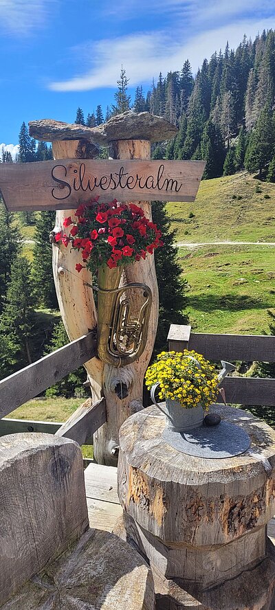Wanderung der Naturfreunde - Silvesteralm