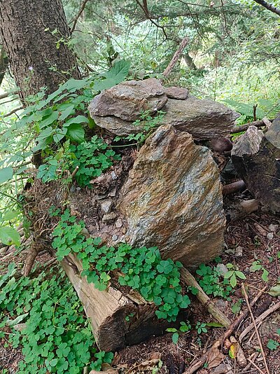 21. Seniorenwanderung der Naturfreunde - Zick-Zack-Steig