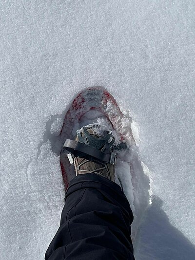 Schneeschuhwanderung der Naturfreunde in Kals
